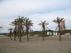 Spanien Andalusien Marbella 011.JPG